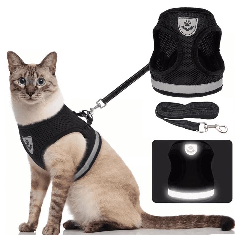 Stylish and Reliable Cat Harness