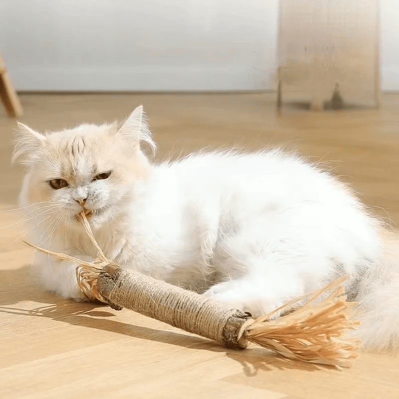 Cat Dental Health Boost - Wooden Dental Cleaning Stick Toy