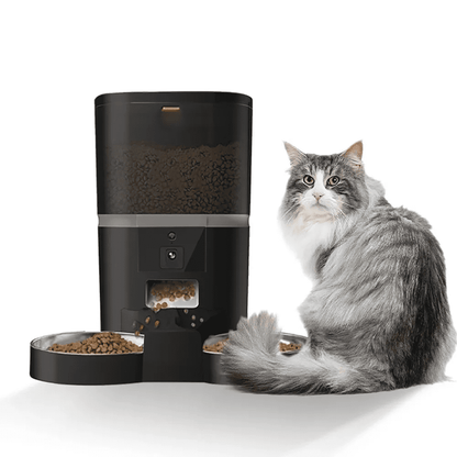 Comedero Doble Automático para Gatos