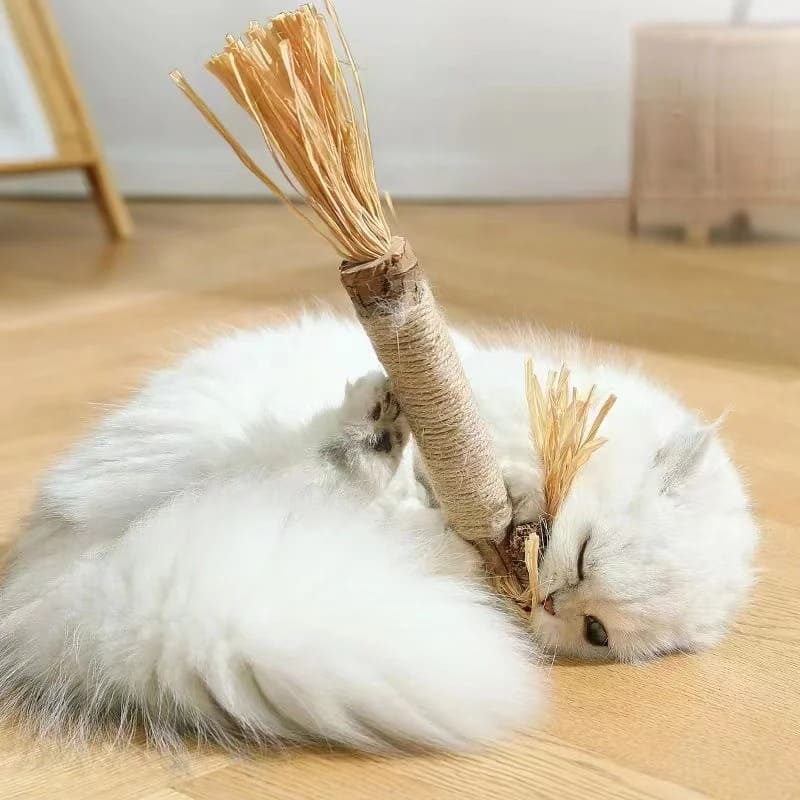 Cat Dental Health Boost - Wooden Dental Cleaning Stick Toy