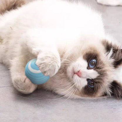 Pelota Divertida para Gato con LED