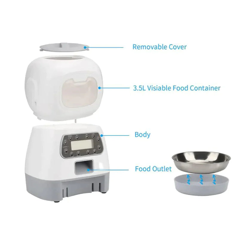 Automatic Feeder for Cats - Practicality, Health, and Well-being Guaranteed